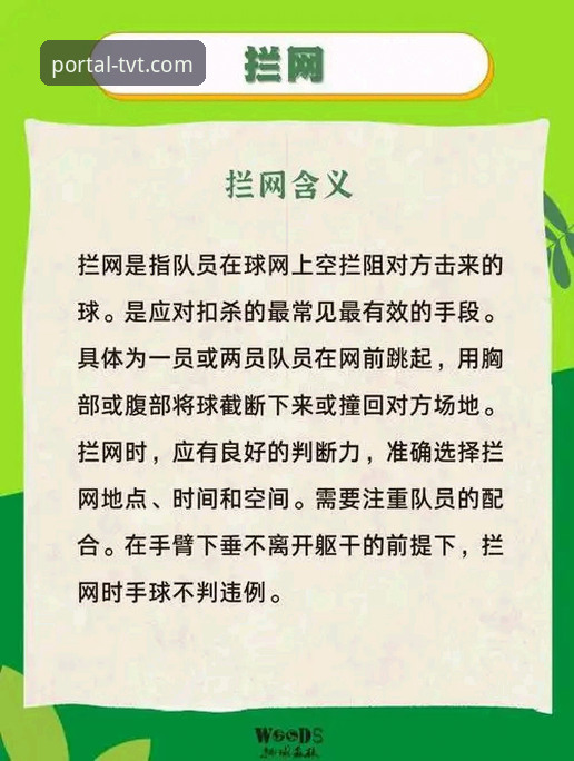TVT体育平台官方下载实用指南：资深用户分享必备知识与避坑技巧